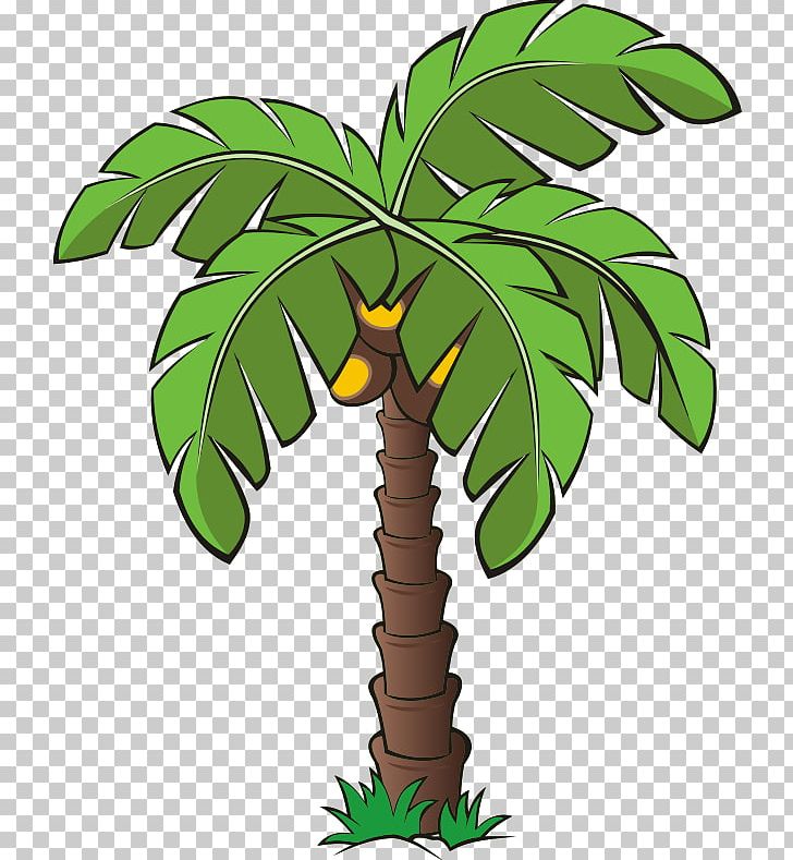 Arecaceae Date Palm Tree PNG, Clipart, Arecaceae, Arecales, Creative Tree Tag, Date Palm, Download Free PNG Download