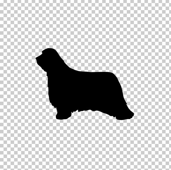 Miniature Dachshund Chihuahua Puppy PNG, Clipart, Bearded Collie, Black, Black And White, Carnivoran, Chihuahua Free PNG Download