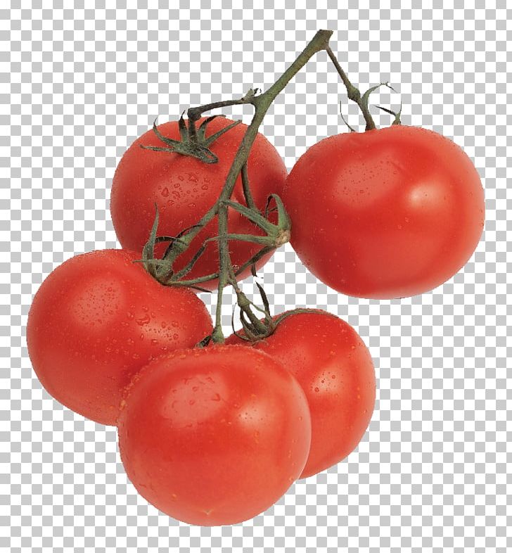Tomato Juice Cherry Tomato Vegetable Ripening Food PNG, Clipart, Bush Tomato, Cherry, Delicious, Diet Food, Fruit Free PNG Download