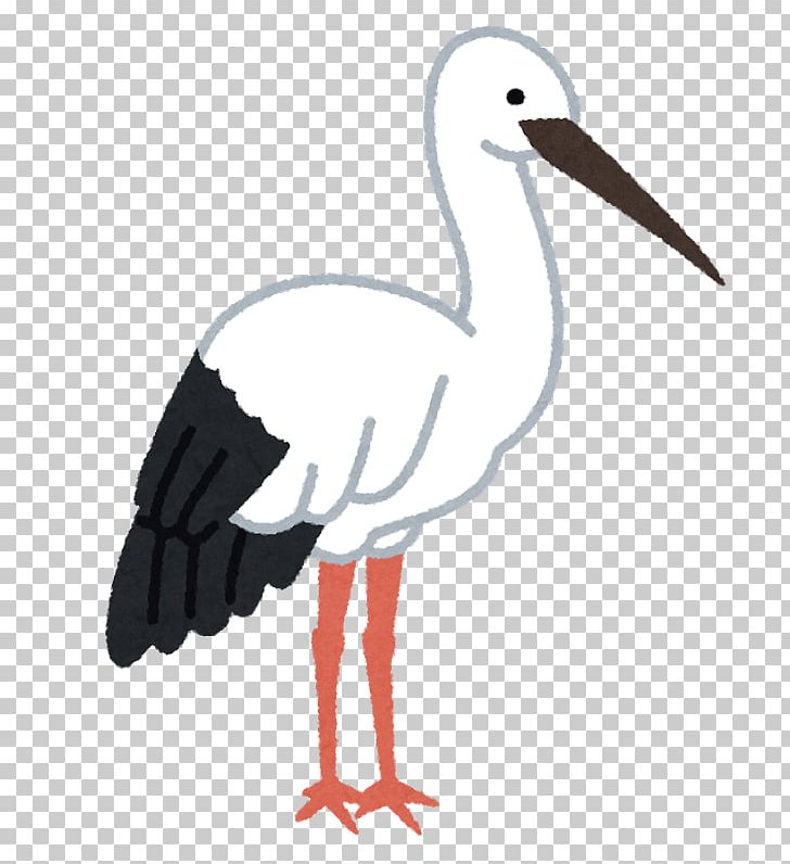 White Stork Crane Bird Beak Oriental Stork PNG, Clipart, Beak, Bird, Ciconiiformes, Crane, Crane Like Bird Free PNG Download
