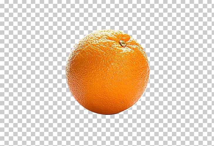 Orange Juice Blood Orange Tangerine Tangelo Clementine PNG, Clipart, Bitt, Citric Acid, Citrus, Food, Fruit Free PNG Download