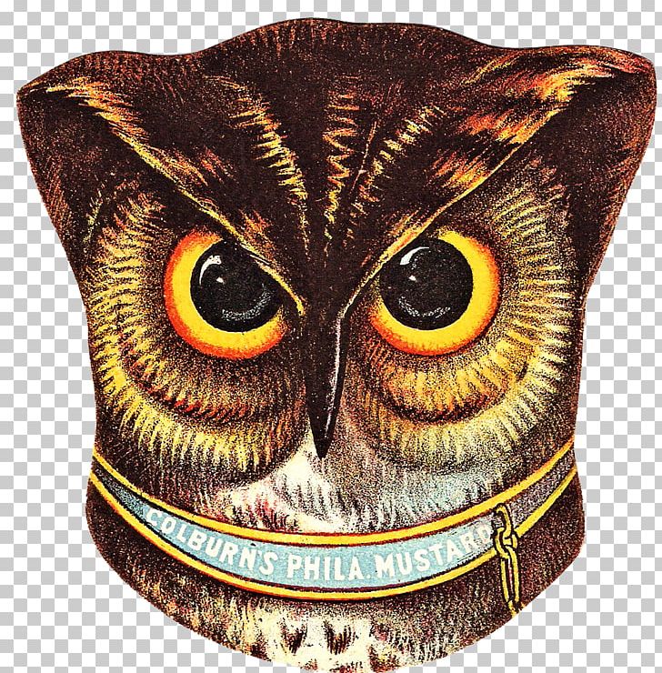 Owl Drawing PNG, Clipart, Animals, Art, Beak, Bird Of Prey, Drawing Free PNG Download