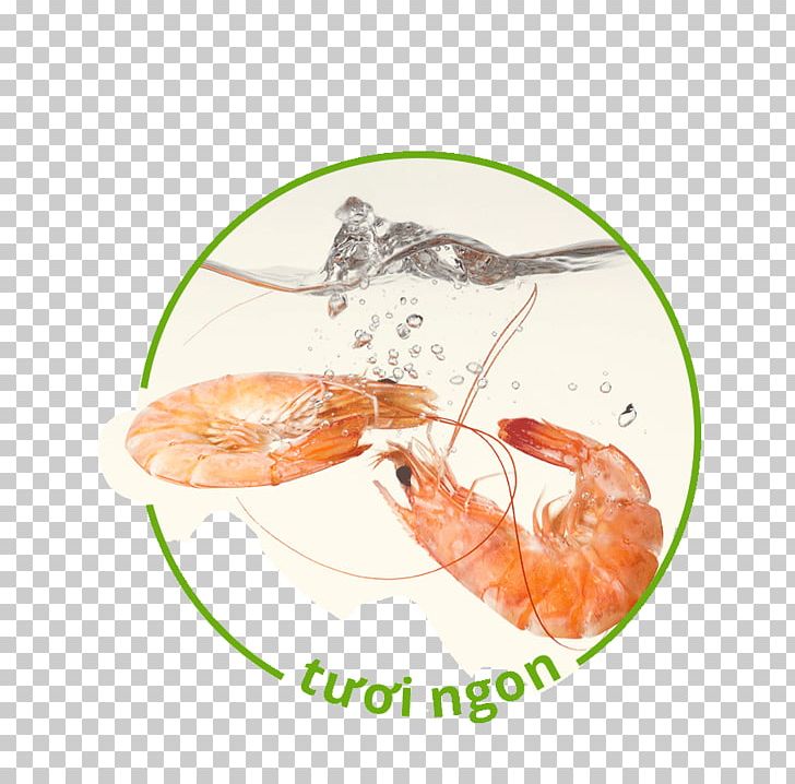 Seafood Water Shrimp Stock Photography PNG, Clipart, Depositphotos, Fishing, Food, Fresh Water, Invertebrate Free PNG Download