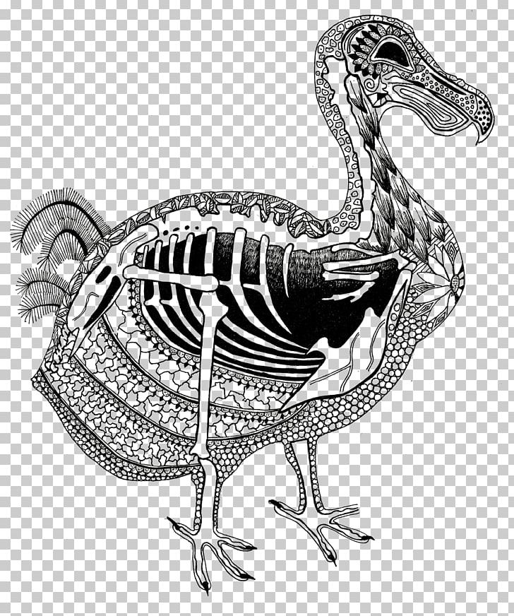 Chicken Duck Flightless Bird Dodo PNG, Clipart, Anatidae, Animals, Art, Beak, Bird Free PNG Download