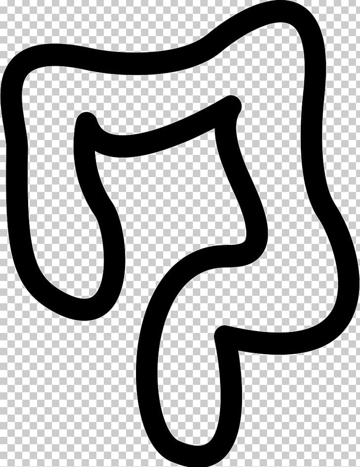 Large Intestine Small Intestine Human Body Apparato Digerente PNG, Clipart, App, Area, Artwork, Black And White, Digestion Free PNG Download