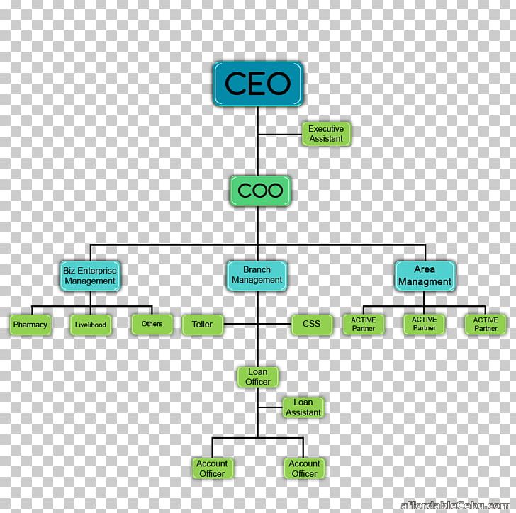 cooperative business structure