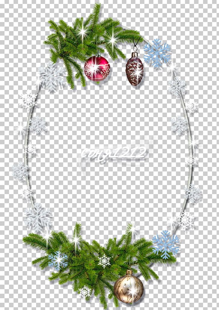 Frames Photography PNG, Clipart, Animals, Branch, Christmas Decoration, Christmas Ornament, Cock Free PNG Download