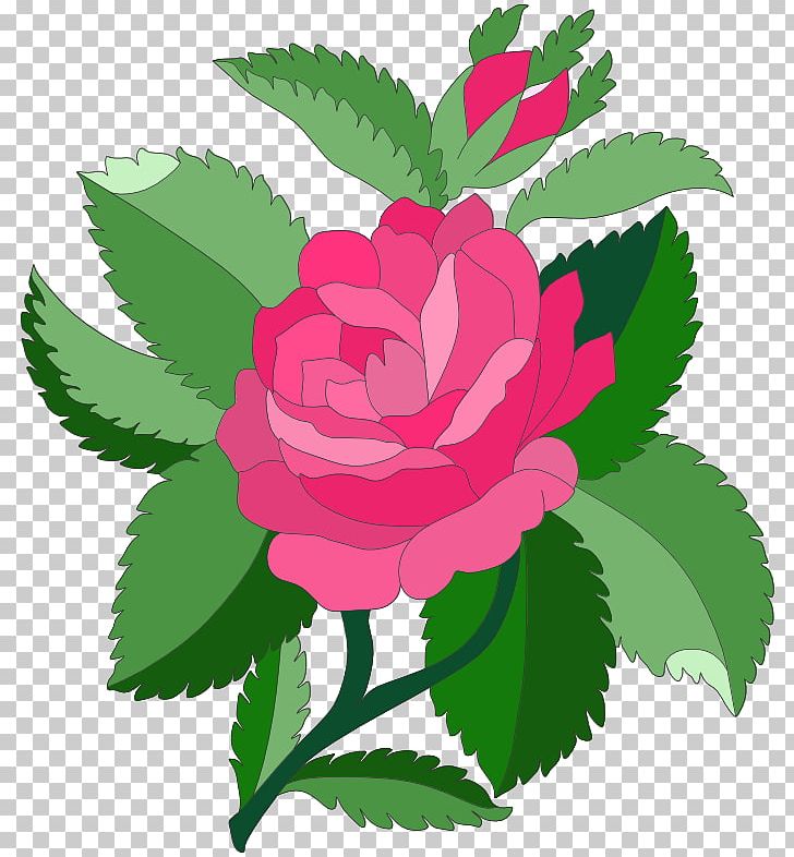 Garden Roses Art Nouveau Designs Pink PNG, Clipart, Art, Art Nouveau Designs, Color, Drawing, Floral Design Free PNG Download