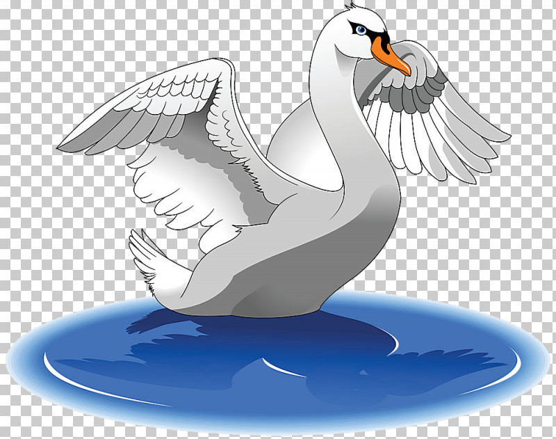 Bird Wing Beak Swan Seabird PNG, Clipart, Beak, Bird, Puffin, Seabird, Stork Free PNG Download