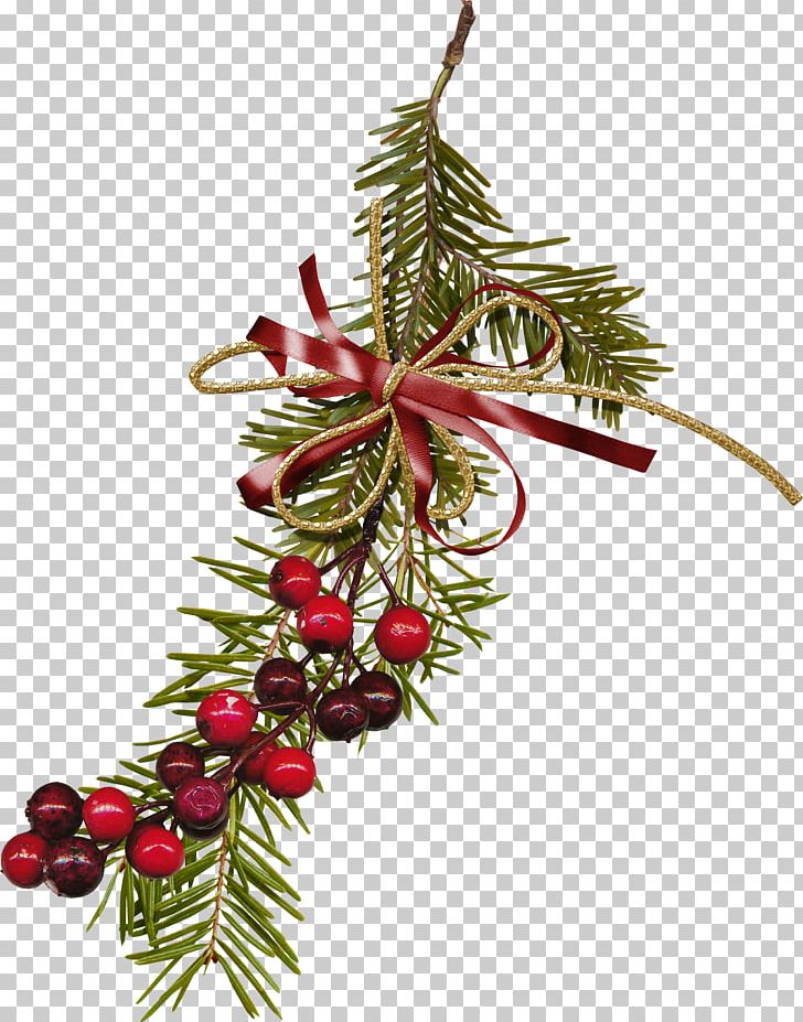 Christmas Decoration Christmas Ornament Christmas Tree PNG, Clipart, Berry, Branch, Christmas, Christmas Decoration, Christmas Ornament Free PNG Download