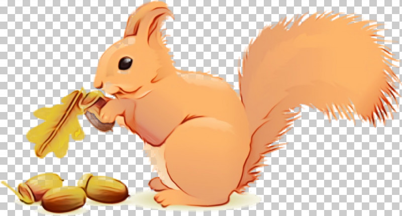 Squirrel Cartoon Animation Eurasian Red Squirrel Tail PNG, Clipart, Acorns, Animal Figure, Animation, Cartoon, Ear Free PNG Download