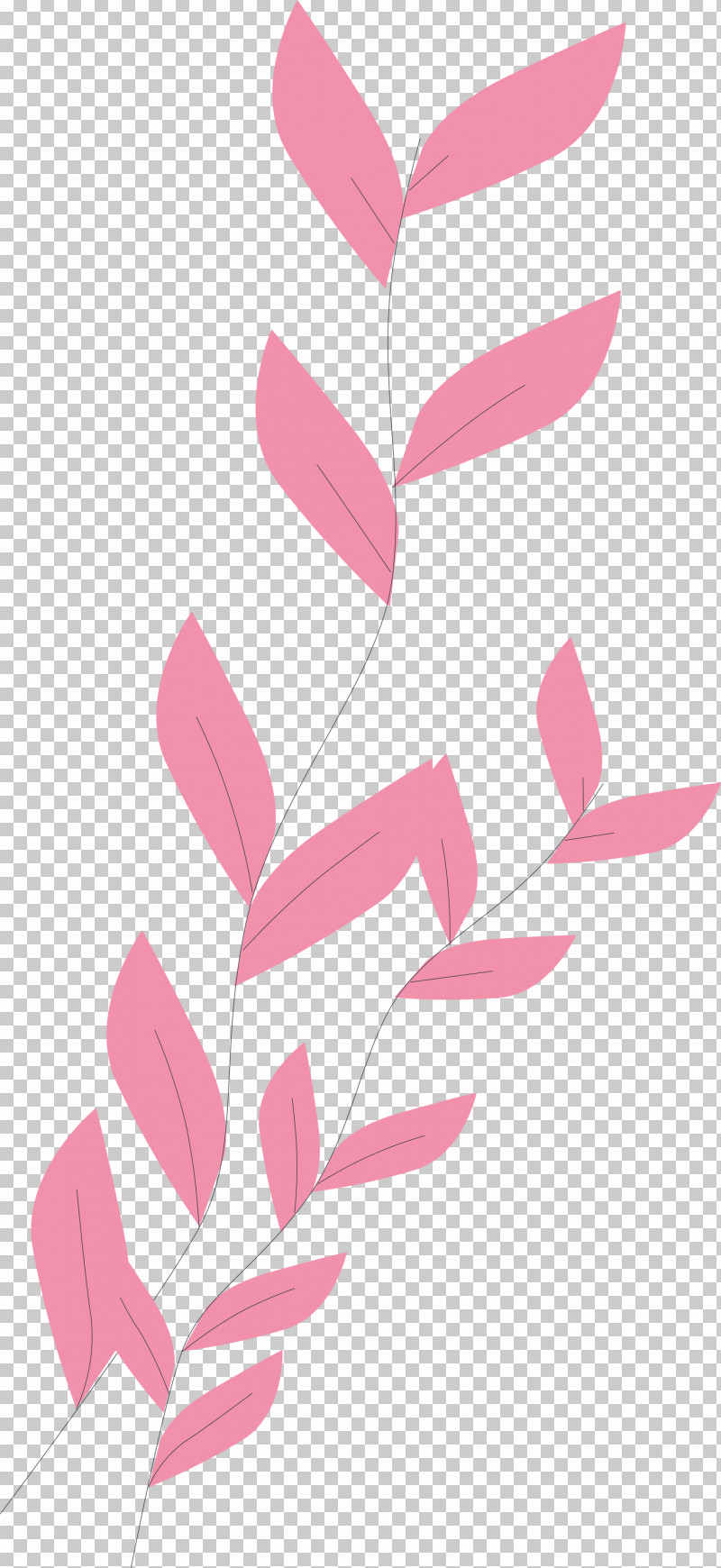 Angle Line Pink M Pattern H&m PNG, Clipart, Angle, Hm, Line, Meter, Pink M Free PNG Download