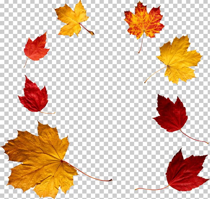 Autumn Leaf Color PNG, Clipart, Autumn, Autumn Leaf Color, Computer Icons, Desktop Wallpaper, Digital Image Free PNG Download