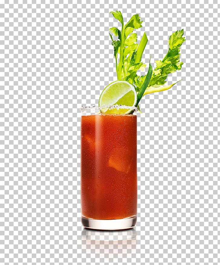 Bloody Mary Cocktail Garnish Sea Breeze Rum And Coke Mai Tai PNG, Clipart, Bay Breeze, Bloody, Bloody Mary, Bloody Mary Recipe, Classic Free PNG Download