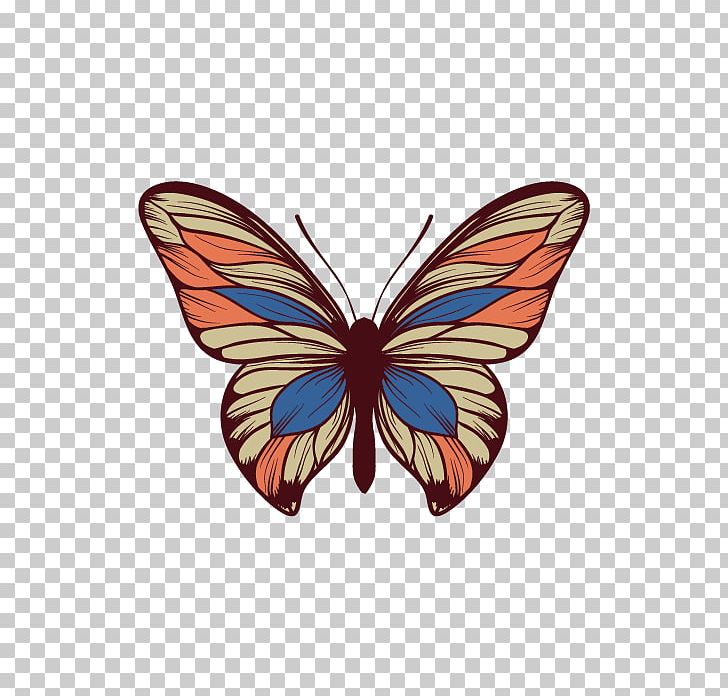 Butterfly PNG, Clipart, Brush Footed Butterfly, Cdr, Color, Color Pencil, Colors Free PNG Download
