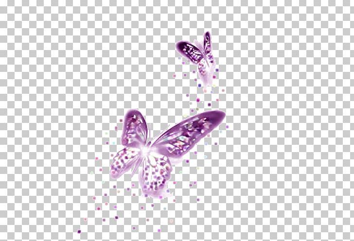 Butterfly Purple Computer File PNG, Clipart, Butterflies, Butterfly, Butterfly Group, Concept, Drawing Free PNG Download