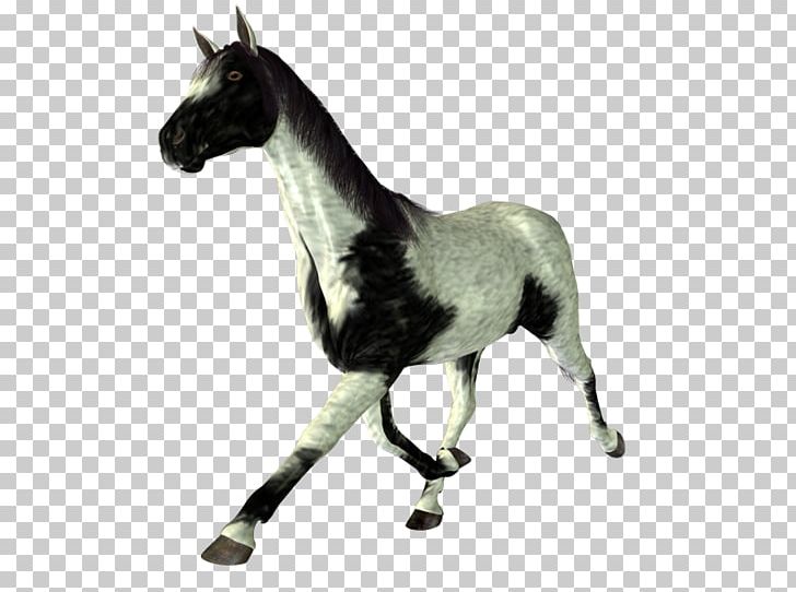 Stallion Mustang Halter Rein Pack Animal PNG, Clipart, Animal, Animal Figure, Blog, Bridle, Colt Free PNG Download
