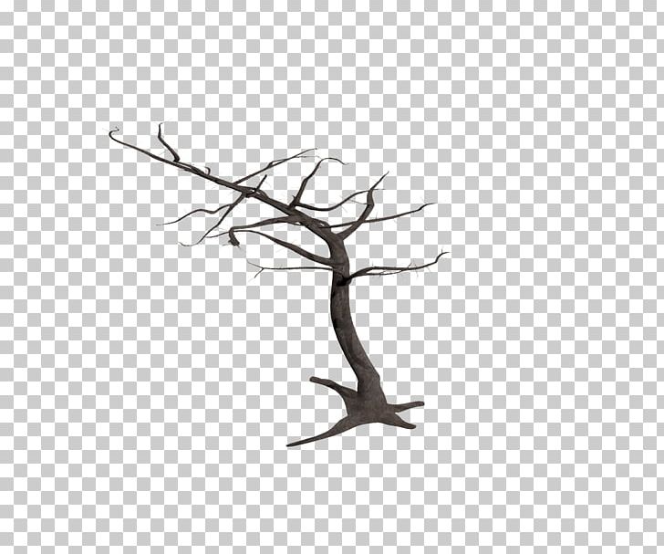 Tree Snag Branch Bark PNG, Clipart, Bark, Birch, Black And White, Branch, Conifers Free PNG Download
