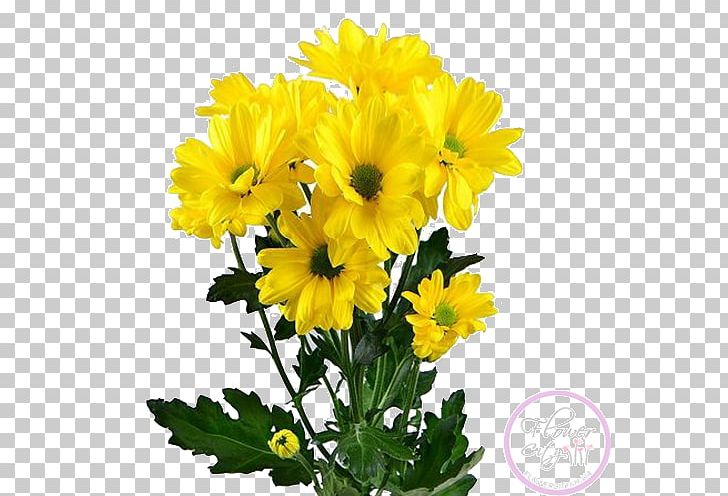 Chrysanthemum Flower Bouquet Yellow Seversk Marguerite Daisy PNG, Clipart, Annual Plant, Chrysanthemum, Chrysanths, Cut Flowers, Daisy Family Free PNG Download