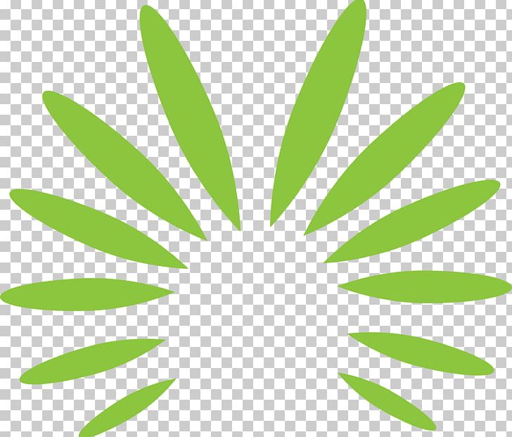 Pavo Leaf National Symbols Of India Drawing Shape PNG, Clipart, Circle, Drawing, Flower, Grass, Green Free PNG Download