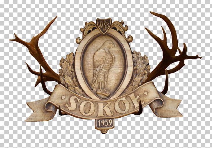 Antler PNG, Clipart, Antler, Brass, Others, Poro Free PNG Download
