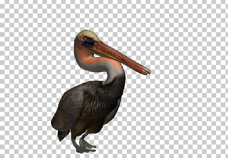 Bird Animation Blog PNG, Clipart, Animal, Animals, Animation, Beak, Bird Free PNG Download