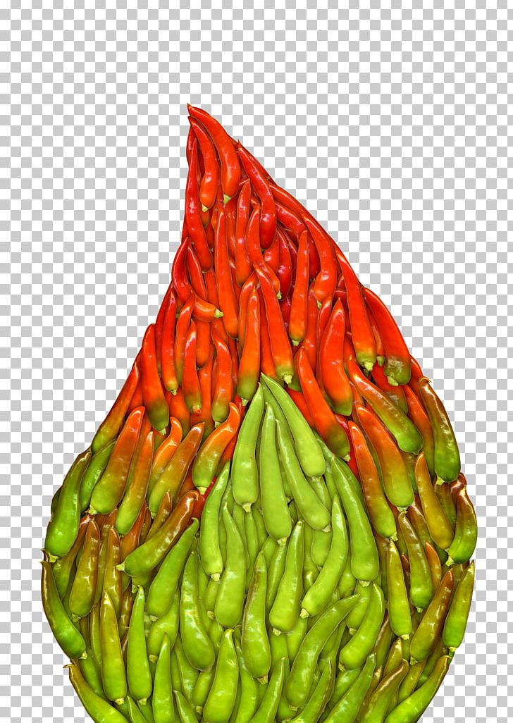 Chili Pepper Jalapexf1o Bhut Jolokia Pungency PNG, Clipart, Bell Peppers And Chili Peppers, Black Pepper, Capsicum, Capsicum Annuum, Chili Free PNG Download