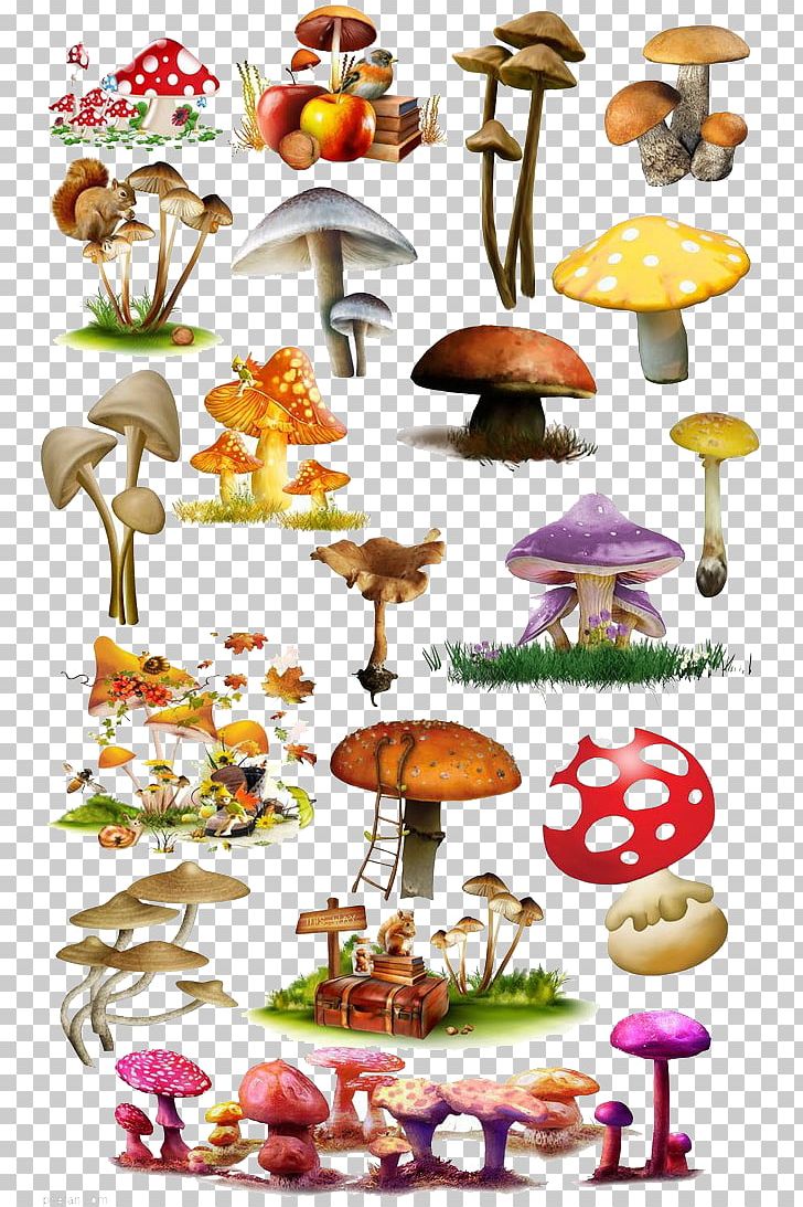 Mushroom Fungus Illustration PNG, Clipart, Art, Cartoon, Concept Art, Food, Fruit Free PNG Download