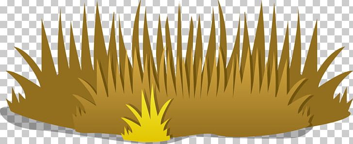 Stock Photography PNG, Clipart, Cattail, Commodity, Film, Grass, Grass Family Free PNG Download