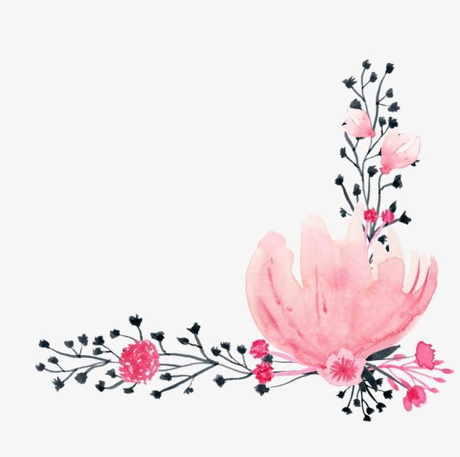 Pink Watercolor Flowers PNG, Clipart, Drawing, Drawing Ink Flower, Floral, Floral Pattern, Flower Free PNG Download