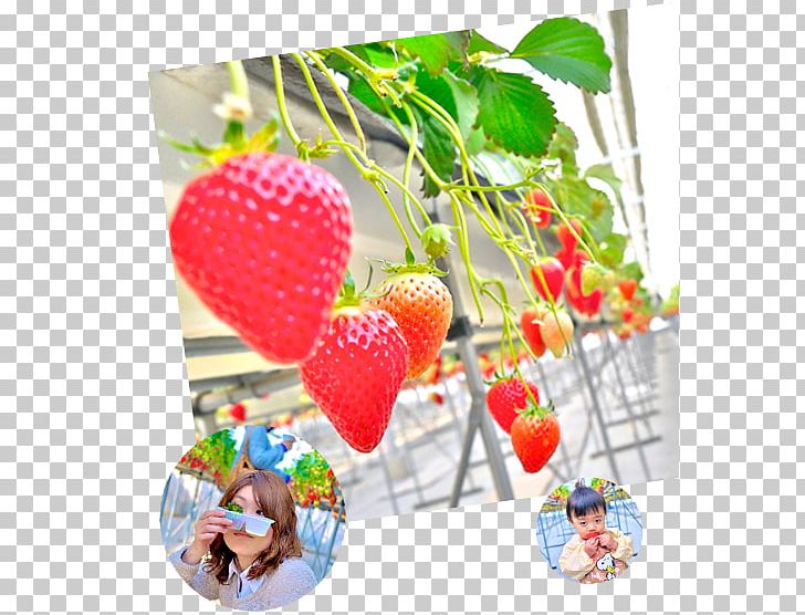 Tumitumi Strawberry Farm Car Park つみつみいちごファーム Buffet Business PNG, Clipart, Buffet, Business, Food, Fruit, Gifu Prefecture Free PNG Download