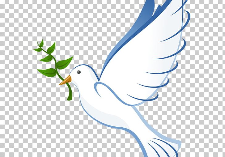 Doves As Symbols Peace United States Columbidae PNG, Clipart, Artwork, Beak, Bird, Branch, Cartoon Bird Free PNG Download