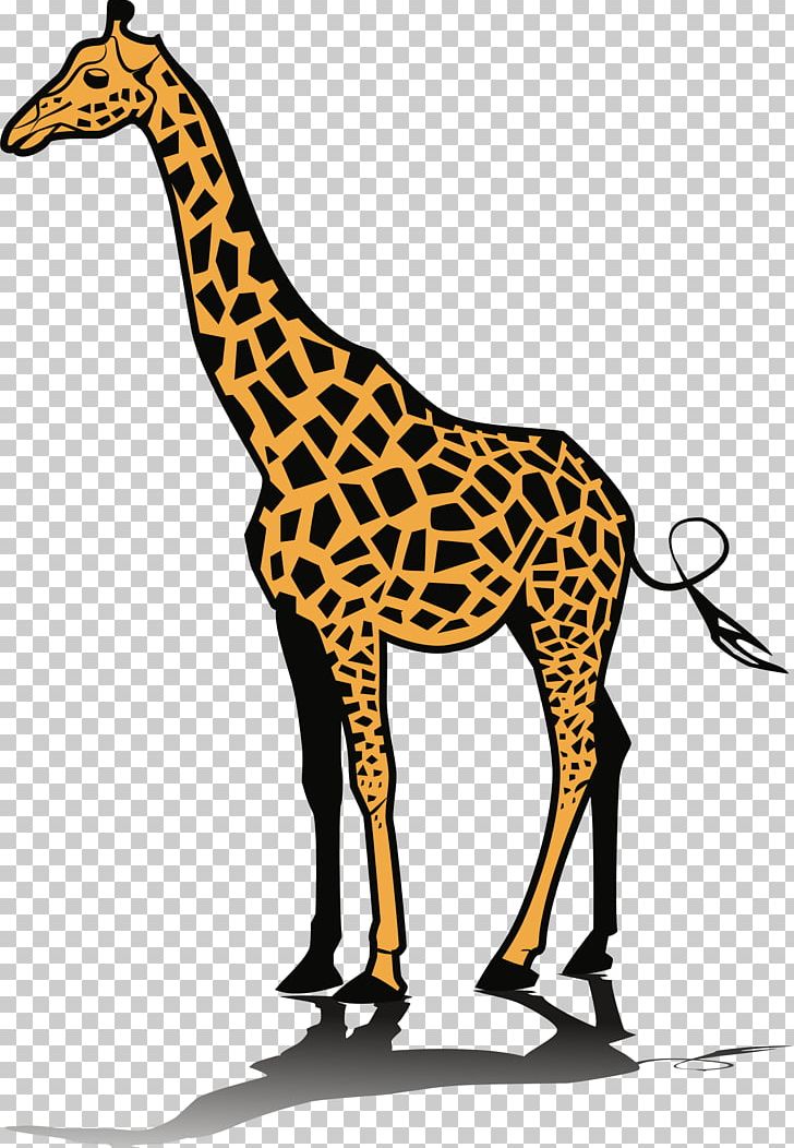 Giraffe Open Graphics PNG, Clipart, Animal Figure, Animals, Art, Baby Giraffe, Download Free PNG Download