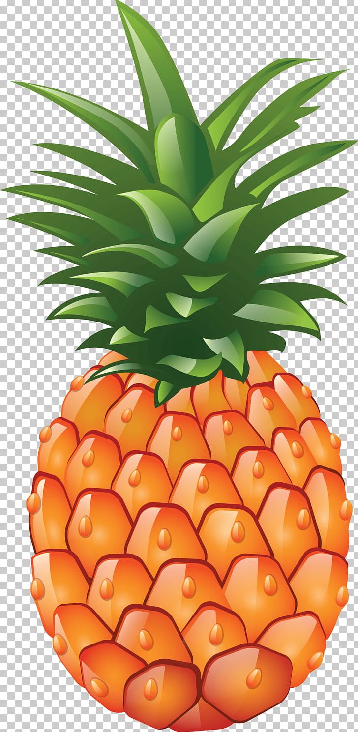 Pineapple PNG, Clipart, Ananas, Bromeliaceae, Chia, Clip Art, Computer Icons Free PNG Download