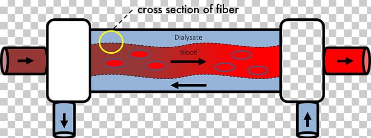 Transmembrane Protein Pressure Hemodialysis PNG, Clipart, Angle, Area, Artery, Blood, Dialysis Free PNG Download