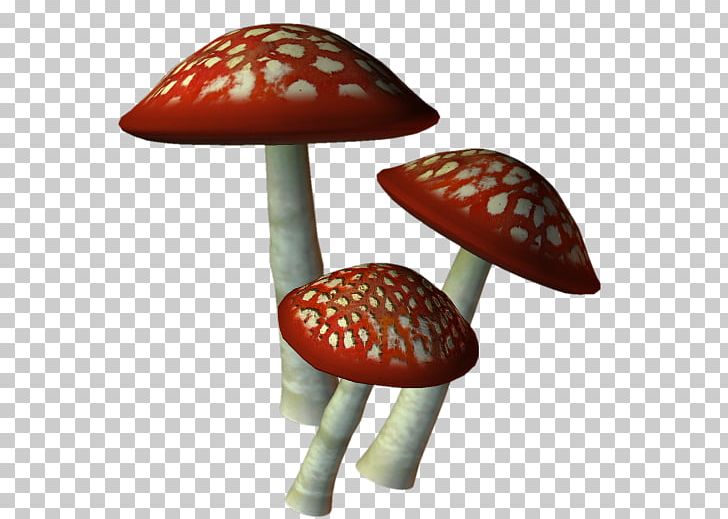 Mushroom Marasmius Oreades Encapsulated PostScript File Formats PNG, Clipart, Champignon, Download, Drawing, Encapsulated Postscript, Fairy Tale Free PNG Download
