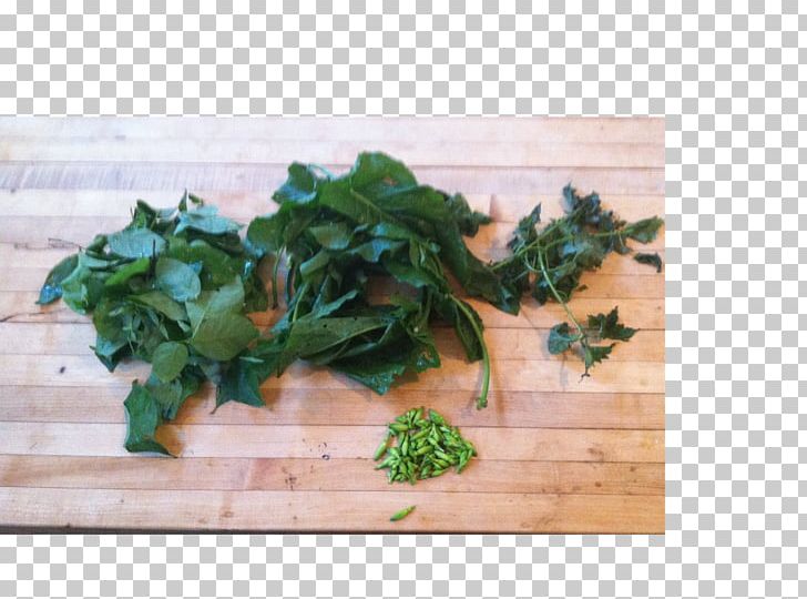 Parsley Spring Greens Recipe Leaf Vegetable PNG, Clipart, Herb, Leaf Vegetable, Others, Parsley, Recipe Free PNG Download