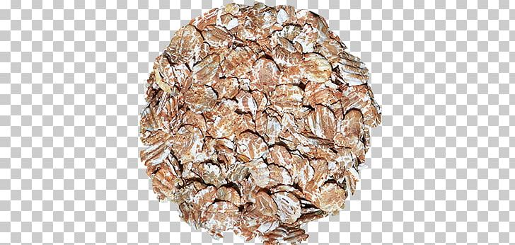 Beer Brewing Grains & Malts Adjuncts Cereal Food PNG, Clipart, Adjuncts, Beer, Beer Brewing Grains Malts, Cereal, Commodity Free PNG Download