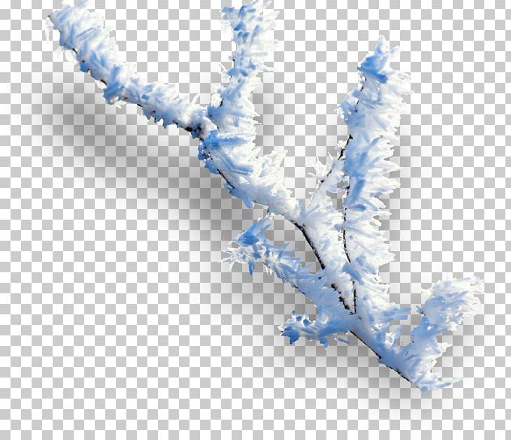 Computer Icons Winter PNG, Clipart, Branch, Computer Icons, Computer Wallpaper, Encapsulated Postscript, Joulukukka Free PNG Download