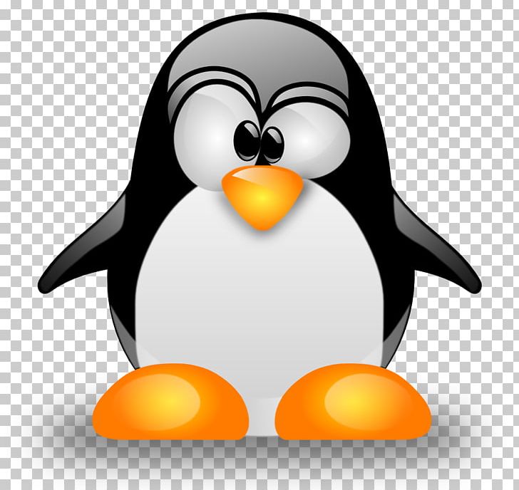 Linux Operating Systems Installation Programmer Ubuntu PNG, Clipart, Antergos, Beak, Bird, Computer Servers, Computer Software Free PNG Download