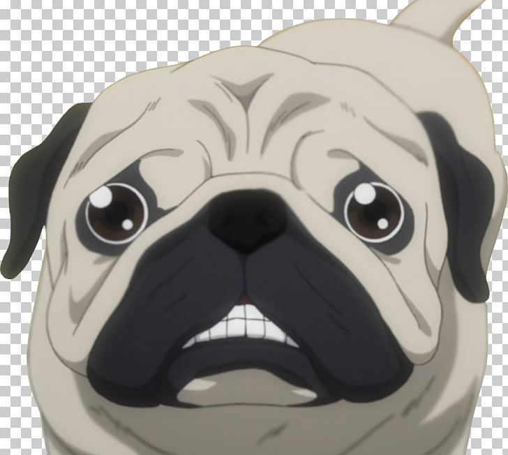 Cute Anime Pug 