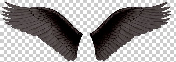 Wing PNG, Clipart, Angle, Drawing, Editing, Fantasy, Free Free PNG Download