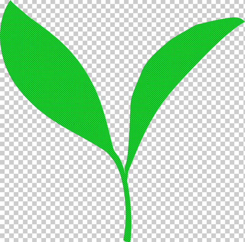 Tea Leaves Leaf Spring PNG, Clipart, Flower, Grass, Green, Leaf, Logo Free PNG Download