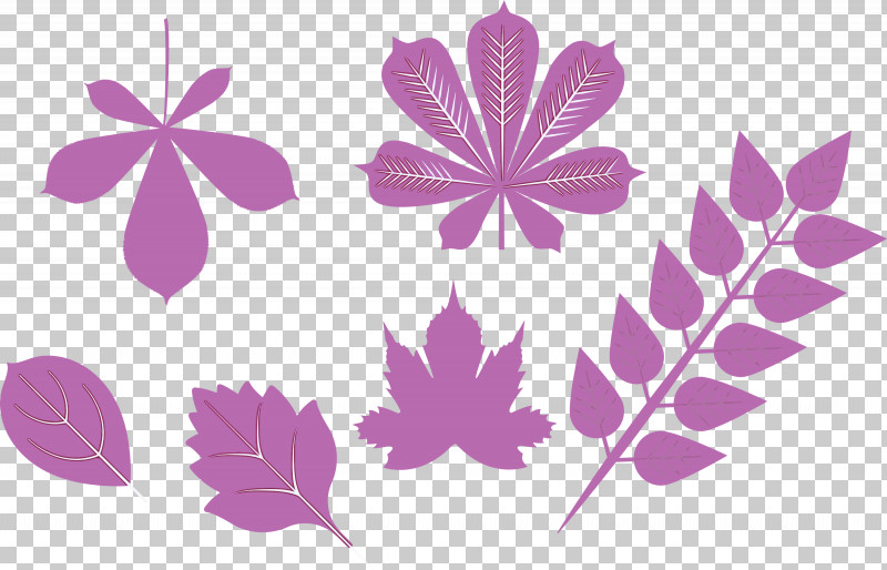 Autumn Leaf Autumn Color PNG, Clipart, Autumn, Autumn Color, Autumn Leaf, Cartoon, Color Free PNG Download