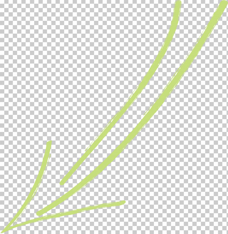 Hand Drawn Arrow PNG, Clipart, Chives, Elymus Repens, Grass, Grass Family, Hand Drawn Arrow Free PNG Download
