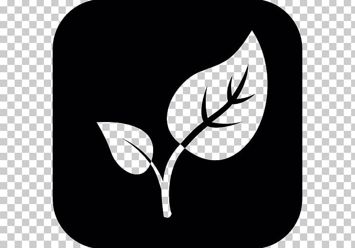 Computer Icons Plant Leaf Green PNG, Clipart, Black, Black And White, Black And White Leaves, Branch, Color Free PNG Download