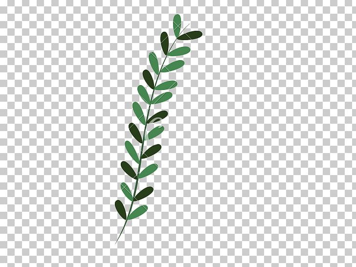Leaf Computer Icons Plant PNG, Clipart, Branch, Computer Icons, Desktop Wallpaper, Grass, Leaf Free PNG Download