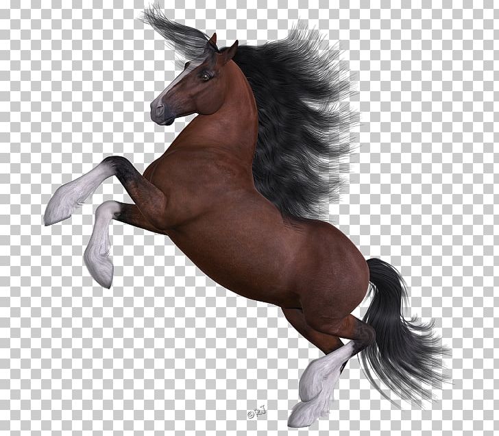Mane Mustang Stallion Pony Halter PNG, Clipart, Animal Figure, Fictional Character, Halter, Horse, Horse Like Mammal Free PNG Download