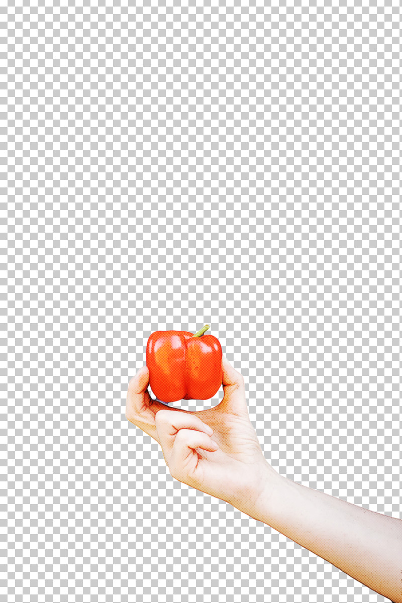 Vegetable Fruit H&m Apple PNG, Clipart, Apple, Fruit, Hm, Vegetable Free PNG Download