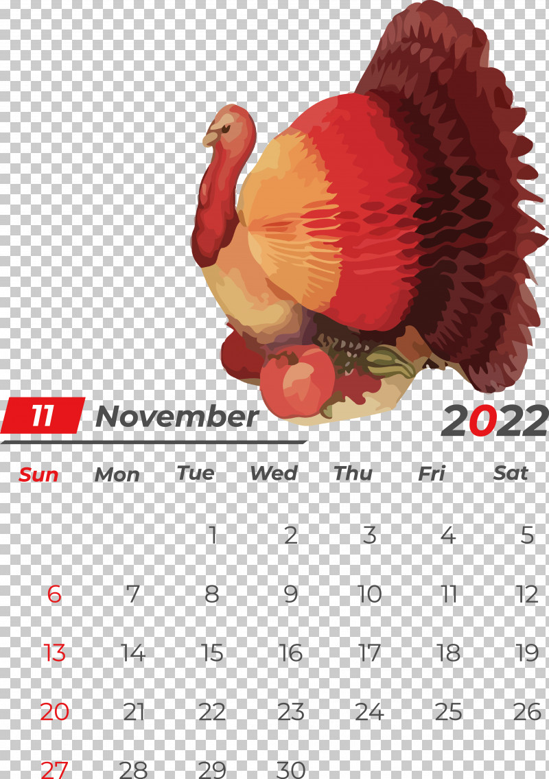 Happy Thanksgiving Turkey PNG, Clipart, Amscan, Bauble, Birthday, Centrepiece, Christmas Day Free PNG Download